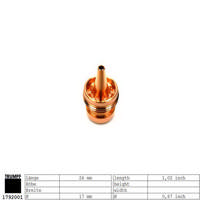 Düseninnenteil IAA
 - AAP